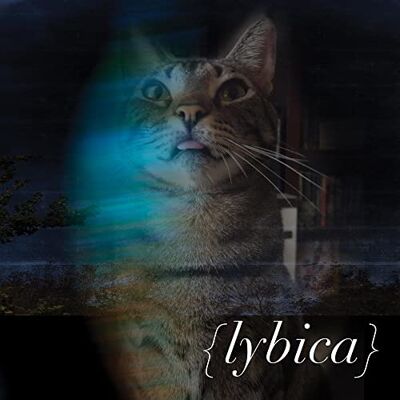 Lybica Lybica