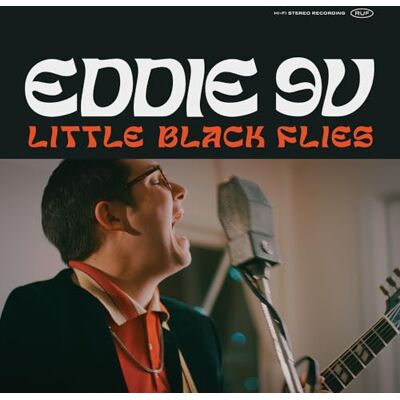 Little Black Flies Little Black Flies