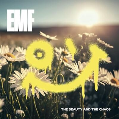 The Beauty and The Chaos The Beauty and The Chaos