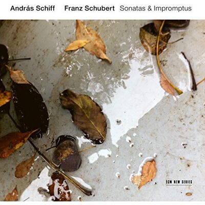 Franz Schubert: Sonatas & Impromptus Franz Schubert: Sonatas & Impromptus