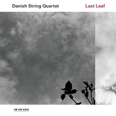 Last Leaf Last Leaf