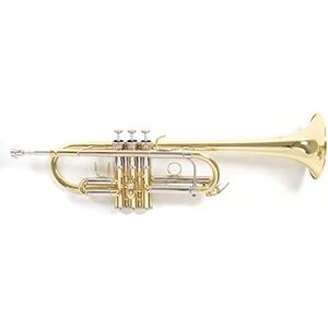 Gewa Roy Benson C-Trompete MOD.TR-402C + 1 Satz Bb Züge lackiert, inkl. Etui Gewa Roy Benson C-Trompete MOD.TR-402C + 1 Satz Bb Züge lackiert, inkl. Etui