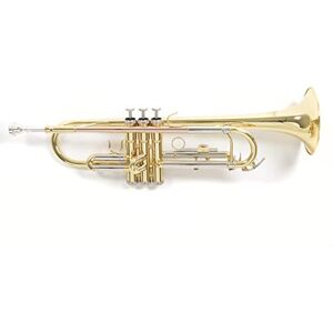 GEWA Roy Benson Bb Trompete MOD. TR.202 lackiert, inkl. Etui GEWA Roy Benson Bb Trompete MOD. TR.202 lackiert, inkl. Etui
