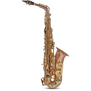 Gewa Roy Benson Eb-Alt Saxophon MOD:AS-202G Bronze Korpus lack., inkl. leichtem Rechtecketui Gewa Roy Benson Eb-Alt Saxophon MOD:AS-202G Bronze Korpus lack., inkl. leichtem Rechtecketui
