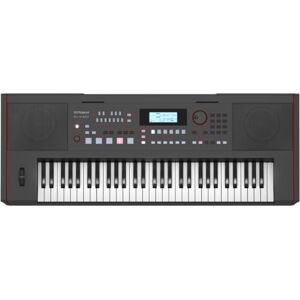 Roland E-X50 Electronic Arranger Keyboard – Easy-to-use Stereo Speakers Bluetooth Professional Sounds Mic Input Auto-accompaniment Function Roland E-X50 Electronic Arranger Keyboard – Easy-to-use Stereo Speakers Bluetooth Professional Sounds Mic Input Auto-accompaniment Function