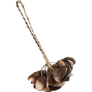 Sonic Energy SPGRS Sonic Energy SPGRS