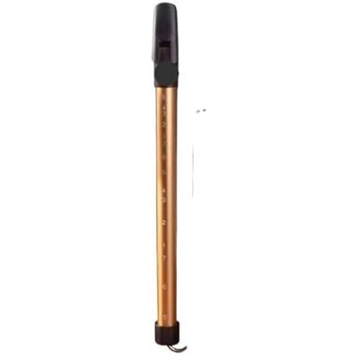 YGLEEULI slide whistle instrument Scale Sliding Flute Professional Beginner Practice Pull Rod Flutes Children Adult Blowing Wind Instruments(Golden) YGLEEULI slide whistle instrument Scale Sliding Flute Professional Beginner Practice Pull Rod Flutes Children Adult Blowing Wind Instruments(Golden)