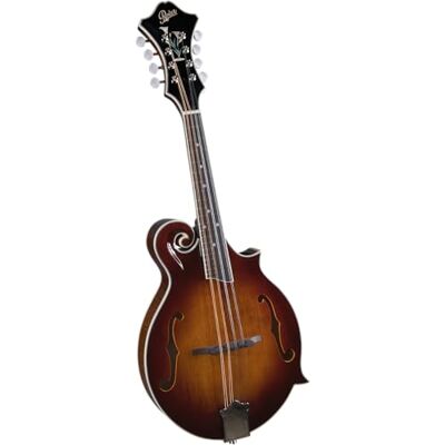 Rover RM-85 Deluxe F-model Mandolin – Burgundy Burst Rover RM-85 Deluxe F-model Mandolin – Burgundy Burst