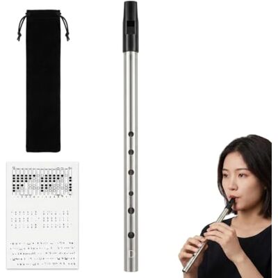 Gryphix Irish Tin Whistle D Key,6 Hole Gold Penny Whistle Set,28cm ABS Resin Mouthpiece & Aluminium Alloy Body,Tuned in Key of D for Celtic Music,Fits Beginners to Band Performers Gryphix Irish Tin Whistle D Key,6 Hole Gold Penny Whistle Set,28cm ABS Resin Mouthpiece & Aluminium Alloy Body,Tuned in Key of D for Celtic Music,Fits Beginners to Band Performers