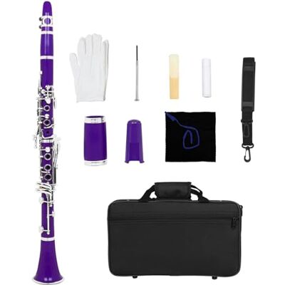 Uqezagpa B Flat Clarinet for Beginners, 17 Keys Beginner Practice Clarinet Woodwind Band Orchestras Musical Instrument B Flat Bakelite Tube Uqezagpa B Flat Clarinet for Beginners, 17 Keys Beginner Practice Clarinet Woodwind Band Orchestras Musical Instrument B Flat Bakelite Tube