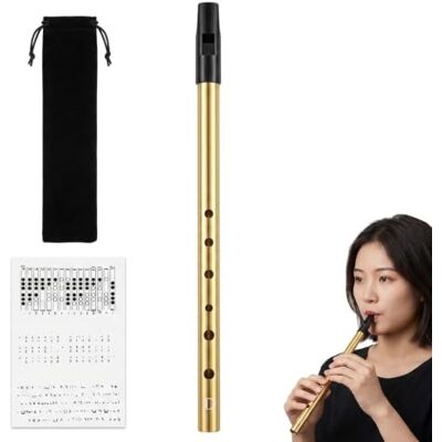 Gryphix Irish Tin Whistle D Key,6 Hole Gold Penny Whistle Set,28cm ABS Resin Mouthpiece & Aluminium Alloy Body,Tuned in Key of D for Celtic Music,Fits Beginners to Band Performers Gryphix Irish Tin Whistle D Key,6 Hole Gold Penny Whistle Set,28cm ABS Resin Mouthpiece & Aluminium Alloy Body,Tuned in Key of D for Celtic Music,Fits Beginners to Band Performers