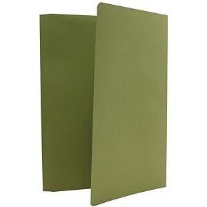 Exacompta Legal Filing Ref 713537 Gemini Pocket Spring Files/Folders, Metal Spring Mechanism, Box of 25, Made from 315gsm Strong Recycled Manilla, Will Hold A4 & Foolscap Documents, 35 x 24 cm in Size, Green Exacompta Legal Filing Ref 713537 Gemini Pocket Spring Files/Folders, Metal Spring Mechanism, Box of 25, Made from 315gsm Strong Recycled Manilla, Will Hold A4 & Foolscap Documents, 35 x 24 cm in Size, Green