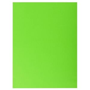 Exacompta Ref 415003E Box of 250 Rock''S Double Pocket folders 210 g/m² Bright Colours PEFC™ Certified folders Size 24 x 32 cm for A4 documents Green Exacompta Ref 415003E Box of 250 Rock''S Double Pocket folders 210 g/m² Bright Colours PEFC™ Certified folders Size 24 x 32 cm for A4 documents Green