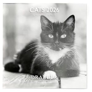 DRAEGER PARIS 1886 Large Wall Calendar 28 x 29 cm 2026 Black and White Cats Theme 12 Months FSC Paper Detachable Illustrations DRAEGER PARIS 1886 Large Wall Calendar 28 x 29 cm 2026 Black and White Cats Theme 12 Months FSC Paper Detachable Illustrations