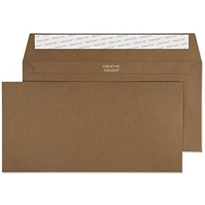 Blake Envelopes Creative Colour 223 Briefumschläge Haftklebung Milch Schokolade DL+ 114 x 229 mm 120g/m² 500 Stück Blake Envelopes Creative Colour 223 Briefumschläge Haftklebung Milch Schokolade DL+ 114 x 229 mm 120g/m² 500 Stück