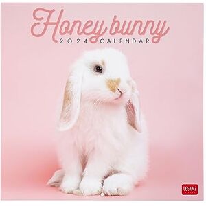 LEGAMI Wall Calendar 2024, 12 Months and Annual Planner, Space for Notes and Notes, Number of the Week, 6 Languages, Zodiac Signs and International Holidays, Single Cellophaning, 30x29 cm LEGAMI Wall Calendar 2024, 12 Months and Annual Planner, Space for Notes and Notes, Number of the Week, 6 Languages, Zodiac Signs and International Holidays, Single Cellophaning, 30x29 cm