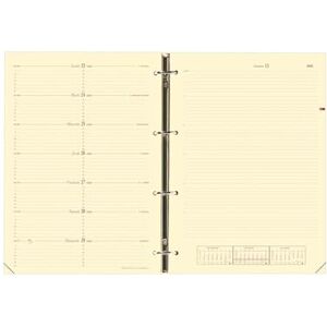 QUO VADIS 270004Q Timer 29 Notes Calendar-View Diary Refill FR S/F 21 x 29.7 cm 2013 in French QUO VADIS 270004Q Timer 29 Notes Calendar-View Diary Refill FR S/F 21 x 29.7 cm 2013 in French