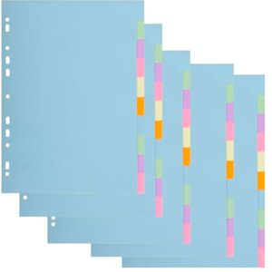Exacompta Ref 1610SE Pack of 5 Sets of dividers Made of Recycled Pastel Card 170 g/m2 with 10 Neutral tabs A4 Size Dimensions 22.5 x 29.7 cm Forever Exacompta Ref 1610SE Pack of 5 Sets of dividers Made of Recycled Pastel Card 170 g/m2 with 10 Neutral tabs A4 Size Dimensions 22.5 x 29.7 cm Forever