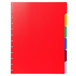Exacompta Ref 86002E Box of 10 dividers Made of Rigid Polypropylene Multi-Coloured for Removable Ring Binders 6 Neutral tabs for A4 Format Maxi Size 24 x 30.5 cm Exacompta Ref 86002E Box of 10 dividers Made of Rigid Polypropylene Multi-Coloured for Removable Ring Binders 6 Neutral tabs for A4 Format Maxi Size 24 x 30.5 cm