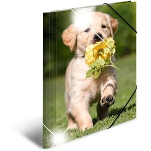 HERMA 19327 Collector's Folders A4 Animals Dogs, Pack of 3, Children's Corner Folder Made of Plastic with High-Gloss Look, Inner Print & Elastic Band, Sturdy Plastic Folding Folder Set for Boys and HERMA 19327 Collector's Folders A4 Animals Dogs, Pack of 3, Children's Corner Folder Made of Plastic with High-Gloss Look, Inner Print & Elastic Band, Sturdy Plastic Folding Folder Set for Boys and