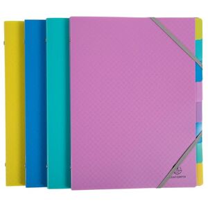 Exacompta Ref 56190E Box of 8 Forever Young File Boxes 3 Flaps with Elastic Bands Cover and Inside in Recycled Polypropylene 8 compartments Size 25x32cm for A4 Size Assorted Exacompta Ref 56190E Box of 8 Forever Young File Boxes 3 Flaps with Elastic Bands Cover and Inside in Recycled Polypropylene 8 compartments Size 25x32cm for A4 Size Assorted