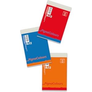 Pigna , Notepad Squared 8x12 60 Sheets Ideal for Students and Professionals (Pack of 20) Pigna , Notepad Squared 8x12 60 Sheets Ideal for Students and Professionals (Pack of 20)