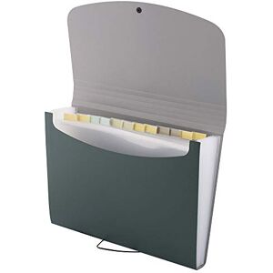 D.RECT Expanding File Folder Expandable Document Folders 12 Compartments A4 Green, (7539) D.RECT Expanding File Folder Expandable Document Folders 12 Compartments A4 Green, (7539)