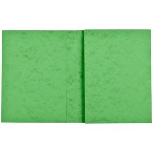 Exacompta Ref 35123E Box of 80 notebooks 24 x 32 cm in Genuine Glossy Card with Labelling Field Ideal for School, College, Universities Lime Wood Colour Exacompta Ref 35123E Box of 80 notebooks 24 x 32 cm in Genuine Glossy Card with Labelling Field Ideal for School, College, Universities Lime Wood Colour