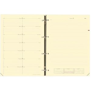 QUO VADIS 270004Q Timer 29 Notes Calendar-View Diary Refill FR S/F 21 x 29.7 cm 2013 in French QUO VADIS 270004Q Timer 29 Notes Calendar-View Diary Refill FR S/F 21 x 29.7 cm 2013 in French
