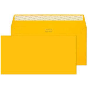 Blake Creative Colour DL+ 114 x 229 mm 120 gsm Peel & Seal Wallet Envelopes (204) Egg Yellow Pack of 500 Blake Creative Colour DL+ 114 x 229 mm 120 gsm Peel & Seal Wallet Envelopes (204) Egg Yellow Pack of 500