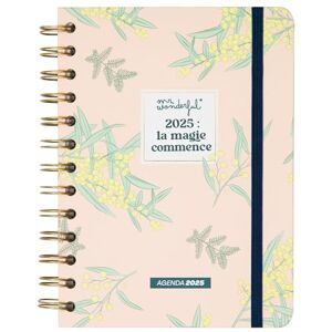 Mr. Wonderful Office Small 2025 Week to View Diary Magic Begins Includes 8 Sheets of Stickers and Motivation Phrases Mr. Wonderful Office Small 2025 Week to View Diary Magic Begins Includes 8 Sheets of Stickers and Motivation Phrases