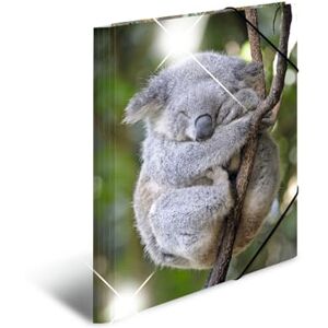 HERMA 19333 Collector's Folders A3 Animals Koala, Pack of 3, Children's Corner Folder Made of Plastic with High-Gloss Look, Inner Print & Elastic Band, Sturdy Plastic Folders Set for Boys and Girls HERMA 19333 Collector's Folders A3 Animals Koala, Pack of 3, Children's Corner Folder Made of Plastic with High-Gloss Look, Inner Print & Elastic Band, Sturdy Plastic Folders Set for Boys and Girls