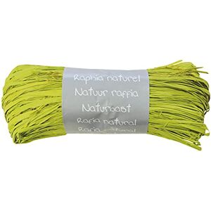 Clairefontaine 196019Cpack Un lot de 8 Pelotes Raphia Vert anis Ensemble de plusieurs fils de Raphia Longueur 1m50 par fil- 50g Loisirs Créatifs Emballage Cadeau DIY Multiples Clairefontaine 196019Cpack Un lot de 8 Pelotes Raphia Vert anis Ensemble de plusieurs fils de Raphia Longueur 1m50 par fil- 50g Loisirs Créatifs Emballage Cadeau DIY Multiples