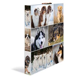 HERMA Ring Binder Animals with Dogs Motif, A4, 35 mm Spine, Slim 2-Ring Binder Made of Cardboard HERMA Ring Binder Animals with Dogs Motif, A4, 35 mm Spine, Slim 2-Ring Binder Made of Cardboard