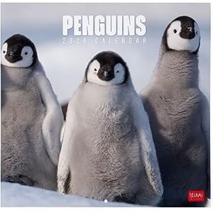 LEGAMI Wall Calendar 2024, 12 Months and Annual Planner, Space for Notes and Notes, Number of the Week, 6 Languages, Zodiac Signs and International Holidays, Single Cellophaning, 30x29 cm LEGAMI Wall Calendar 2024, 12 Months and Annual Planner, Space for Notes and Notes, Number of the Week, 6 Languages, Zodiac Signs and International Holidays, Single Cellophaning, 30x29 cm