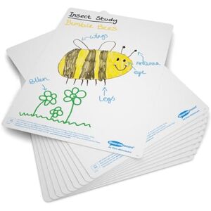 SHOW-ME A4 Double-Sided Drywipe Whiteboards – Pack of 10 – Plain, Lightweight & Durable – Ideal for Classroom & Student Use – Includes Free Teacher Resource Booklet SHOW-ME A4 Double-Sided Drywipe Whiteboards – Pack of 10 – Plain, Lightweight & Durable – Ideal for Classroom & Student Use – Includes Free Teacher Resource Booklet