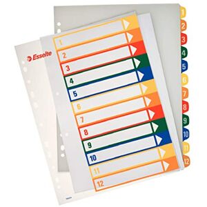 Esselte A4 12 Positions Printable Index Polypropylene Esselte A4 12 Positions Printable Index Polypropylene