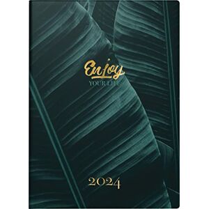 rido/idé ''Enjoy'' Weekly Desk Planner Calendar Model Technik S 2024 2 Pages = 1 Week Sheet Size 10 x 14 cm Green rido/idé ''Enjoy'' Weekly Desk Planner Calendar Model Technik S 2024 2 Pages = 1 Week Sheet Size 10 x 14 cm Green