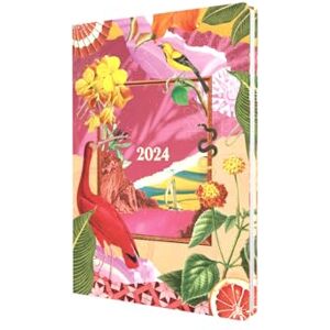 Collins Maxilmalism 2024 Diary A5 Week To View Diary Business Planner and Organiser January to December 2024 Diary Weekly Yellow/Pink MX153.45-24 Collins Maxilmalism 2024 Diary A5 Week To View Diary Business Planner and Organiser January to December 2024 Diary Weekly Yellow/Pink MX153.45-24