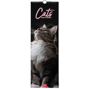 LEGAMI 2026 Wall Calendar, Cats Small Wall Calendar, 12 Months and Yearly Planner, in 6 Languages, Space for Notes, Zodiac Signs, International Holidays, 16 x 49 cm LEGAMI 2026 Wall Calendar, Cats Small Wall Calendar, 12 Months and Yearly Planner, in 6 Languages, Space for Notes, Zodiac Signs, International Holidays, 16 x 49 cm