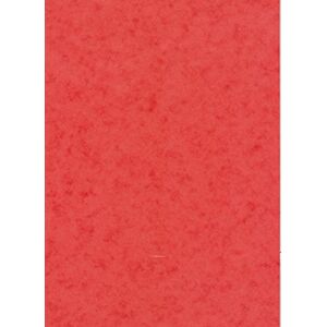 Clairefontaine Ref 3140Z Europa Coloured Card (Pack of 50 Sheets) A3 (420 x 297mm) Size, 265gsm, 300 Micron Mottled Pressboard, Acid Free Red Colour Clairefontaine Ref 3140Z Europa Coloured Card (Pack of 50 Sheets) A3 (420 x 297mm) Size, 265gsm, 300 Micron Mottled Pressboard, Acid Free Red Colour