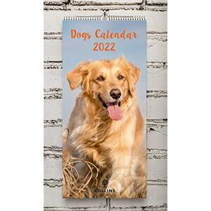 Collins Dog Calendar 2022-390x180mm Wiro Wall Calendar Collins Dog Calendar 2022-390x180mm Wiro Wall Calendar