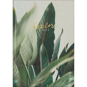 rido/idé Young Line (2025) "Explore" Book Calendar, 2 Pages = 1 Week, A5, 160 Pages, Graphic Cover, Colourful rido/idé Young Line (2025) "Explore" Book Calendar, 2 Pages = 1 Week, A5, 160 Pages, Graphic Cover, Colourful