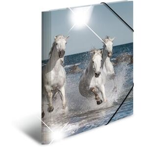 HERMA 19338 Portfolio Folders A3 Animals Horses, Pack of 3, Children's Corner Folder Made of Plastic with High-Gloss Look, Inner Print & Elastic Band, Sturdy Plastic Folders Set for Boys and Girls HERMA 19338 Portfolio Folders A3 Animals Horses, Pack of 3, Children's Corner Folder Made of Plastic with High-Gloss Look, Inner Print & Elastic Band, Sturdy Plastic Folders Set for Boys and Girls