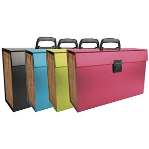 Exacompta Ref 58420E Multipart Expanding Case with Handle 385 x 250mm in Size, Ideal for A4 Size Documents, 20 Tabbed Sections, Holds 1000 Sheets Random Colour Exacompta Ref 58420E Multipart Expanding Case with Handle 385 x 250mm in Size, Ideal for A4 Size Documents, 20 Tabbed Sections, Holds 1000 Sheets Random Colour