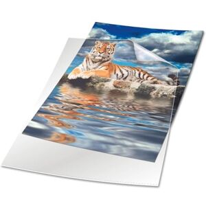 Durable Transparent Document Pockets A4 Rigid Plastic Wallet with Thickness of 0.15 mm Large Pack of 50 Clear Pockets Durable Transparent Document Pockets A4 Rigid Plastic Wallet with Thickness of 0.15 mm Large Pack of 50 Clear Pockets