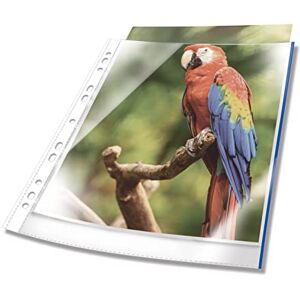 Durable Premium A4 Punched Pocket with Coloured Edge Blue Crystal Clear and Made from PP Pack of 100 Perfect for Protecting Important Documents Durable Premium A4 Punched Pocket with Coloured Edge Blue Crystal Clear and Made from PP Pack of 100 Perfect for Protecting Important Documents