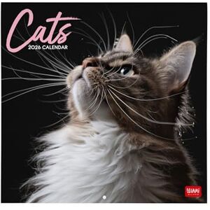 LEGAMI 2026 Wall Calendar, Cats Large Wall Calendar, 12 Months and Yearly Planner, in 6 Languages, Space for Notes, Zodiac Signs, International Holidays, 30 x 29 cm LEGAMI 2026 Wall Calendar, Cats Large Wall Calendar, 12 Months and Yearly Planner, in 6 Languages, Space for Notes, Zodiac Signs, International Holidays, 30 x 29 cm