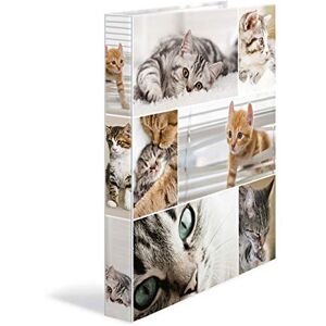 HERMA Ring Binder Animals with Cats Motif, A4, 35 mm Spine, Slim 2-Ring Binder Made of Cardboard HERMA Ring Binder Animals with Cats Motif, A4, 35 mm Spine, Slim 2-Ring Binder Made of Cardboard