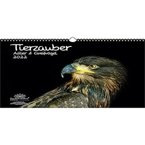 Seelenzauber Eagle Magic Eagle and Birds of Prey DIN A3 Calendar for 2022 Seelenzauber Eagle Magic Eagle and Birds of Prey DIN A3 Calendar for 2022
